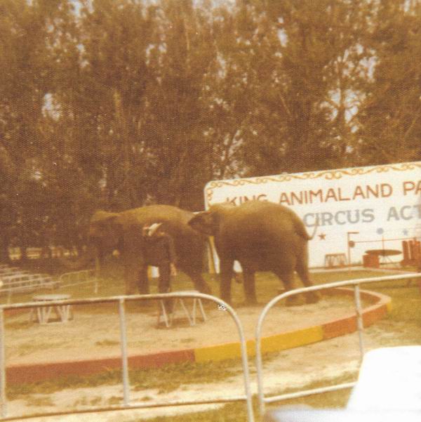 Kings Animaland Park - 1974 Photo From Jeff (newer photo)